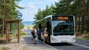 Autobus na przystanku w nadmorskiej miejscowości wśród sosen