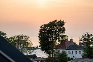 Sylwetka drzewa na tle zachodu słońca nad morzem w Sarbinowie