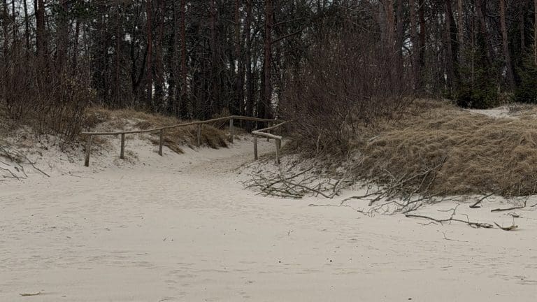 Piaszczysta ścieżka przez wydmy do sosnowego lasu nad Bałtykiem, poza sezonem