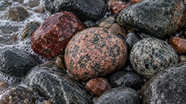 Mokre kamienie z plaży z bliska: różowy granit rapakiwi z oczkami, czerwony porfir i nakrapiany szary granit